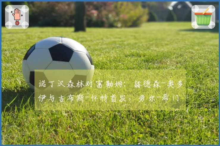 诺丁汉森林对富勒姆：赫德森-奥多伊与吉布斯-怀特首发，劳尔-希门尼斯与莱诺参赛